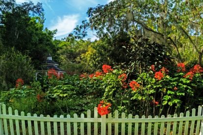 Photo Peaceful garden