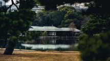 Photo Zen garden