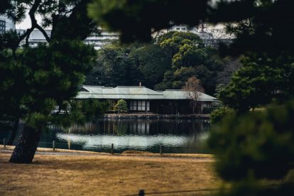 Photo Zen garden