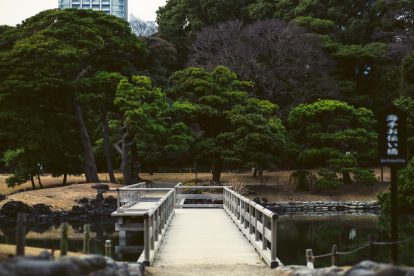 Photo Zen garden