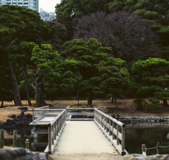 Photo Zen garden