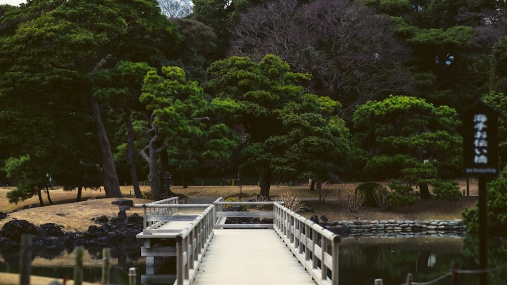 Photo Zen garden